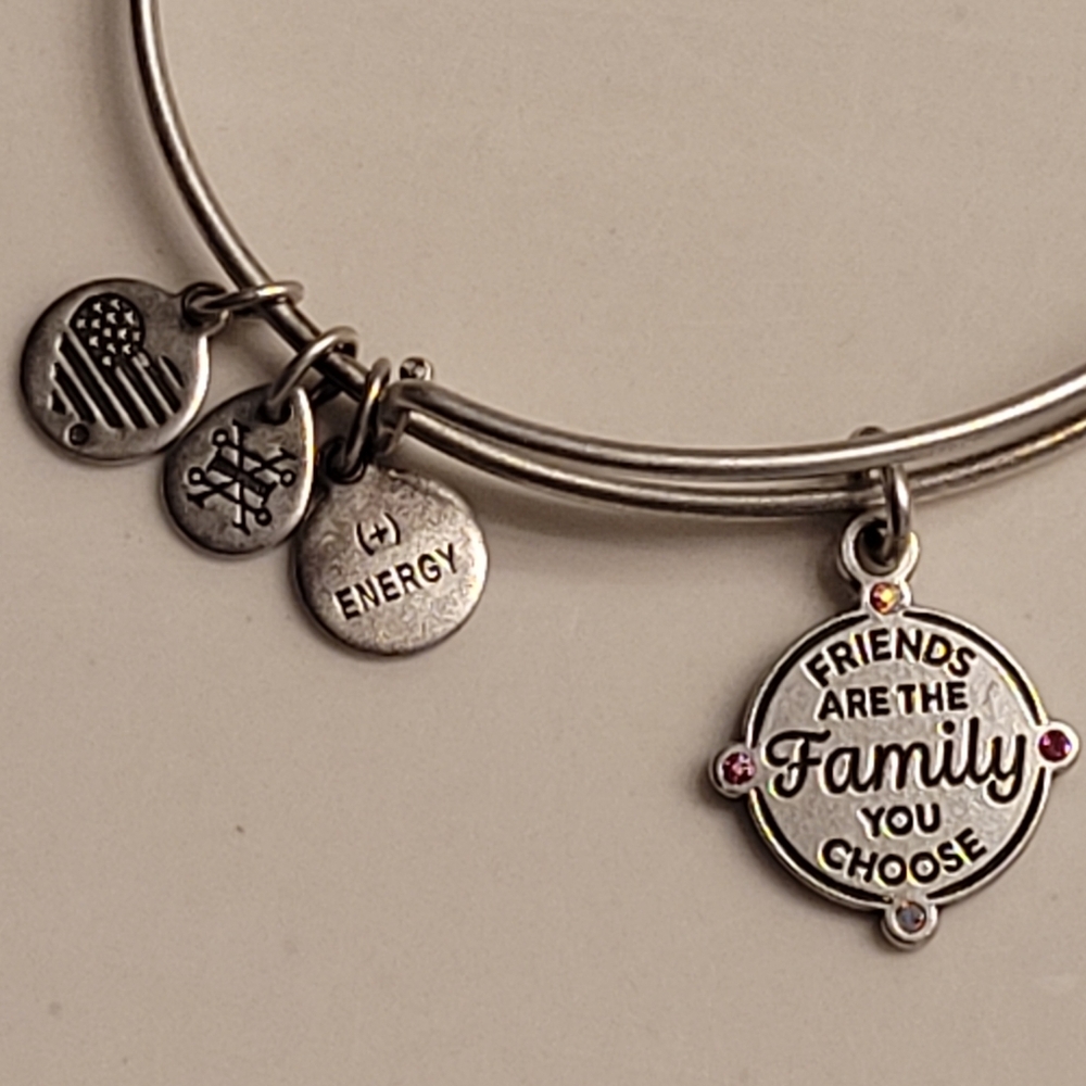 Alex & Ani Friends Are The Family You Choose Charm Bangle Bracelet Silver-tone - Picture 5 of 16